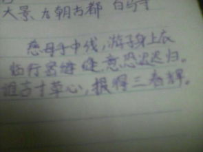 贊揚(yáng)中國(guó)的古詩(shī)句