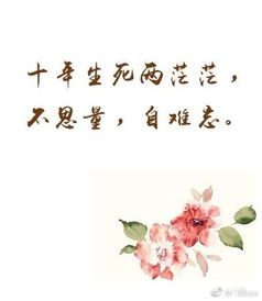 寫思念愛人的詩(shī)句古詩(shī)詞