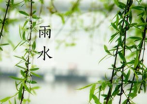 關(guān)于雨潤(rùn)大地的詩(shī)句