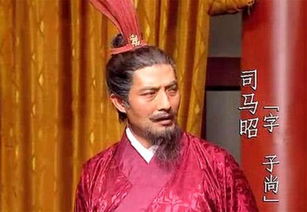 司馬,詩句