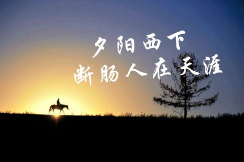 詩(shī)句,落寞,內心