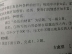 關(guān)于經(jīng)歷是財(cái)富的詩句