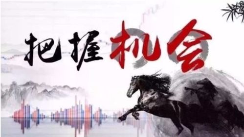 關(guān)于珍惜機(jī)會(huì)的詩句