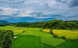 關(guān)于鄉(xiāng)村田園的詩(shī)句1到5級(jí)