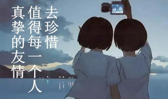 詩句,真摯,友情