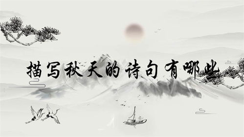 離別的詩(shī)句古詩(shī)詞