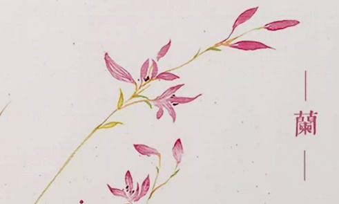 有哪些描寫(xiě)花的古詩(shī)句