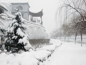 關(guān)于雪的名句古代詩句