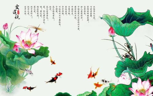 魚(yú)吃荷花的古詩(shī)句