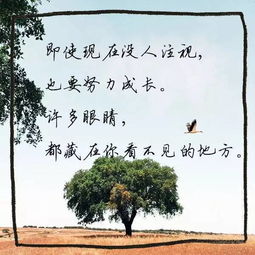 揚帆,起航,詩句,放飛