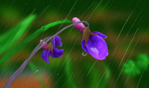 詩(shī)句,山雨,春花,有哪些