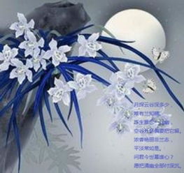 描寫空谷幽蘭的詩(shī)句古詩(shī)