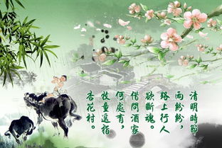 詩句,積累