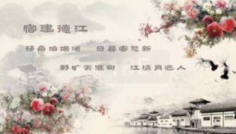 古詩(shī)詞中借花表達情感的詩(shī)句