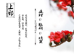 詩(shī)句,寫(xiě)出,春草
