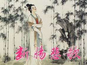 朱淑真寫的關于春節(jié)的詩句