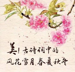 雪花愛(ài)情詩(shī)句古詩(shī)詞