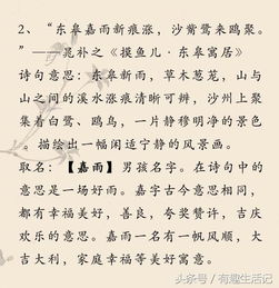美麗的古詩(shī)句起名