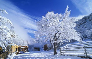 冬季雪景詩(shī)句古詩(shī)