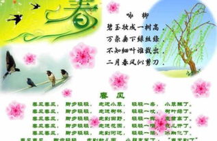 一級描寫(xiě)春天的詩(shī)句古詩(shī)大全