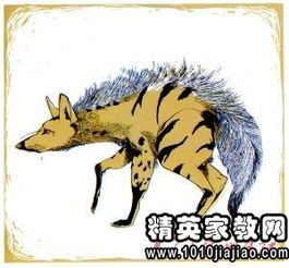 關(guān)于含動(dòng)物名的詩(shī)句