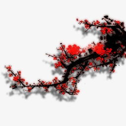 詩(shī)句,梅花,常用