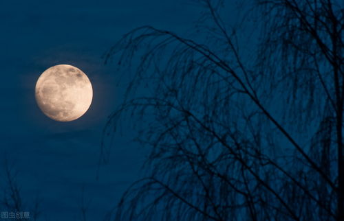 帶有今夜的詩句,含今夜的詩句,今夜開頭的詩句