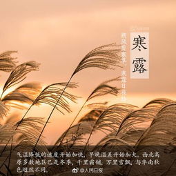 寒露,古詩,詩句,景物