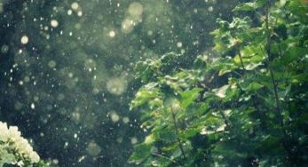 與關(guān)于雨的詩句有哪些