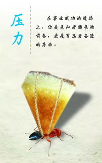 詩(shī)句,勵志,理想