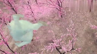 關于桃花的搞笑詩句大全