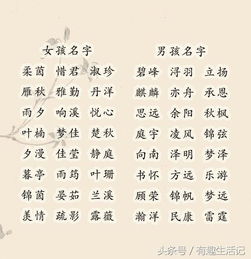 好聽(tīng)的古詩(shī)句游戲名字