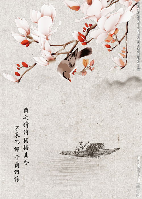 寫一個(gè)關(guān)于燕子的詩句