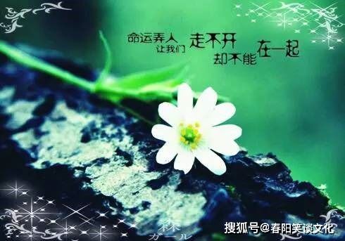 關(guān)于頭發(fā)的感情詩句