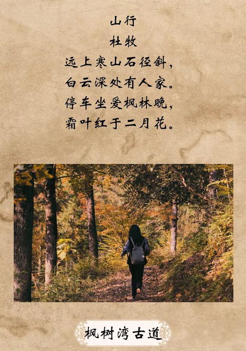 云和,詩句,相關