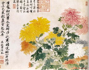 有關(guān)菊花詩句古詩大全
