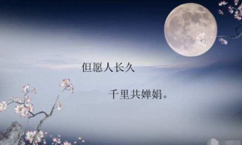 贊美中秋節的典故詩(shī)句古詩(shī)