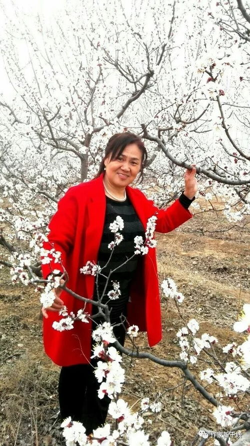 關(guān)于黃玫瑰的詩句