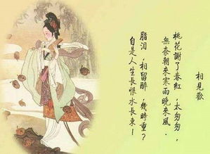 關(guān)于興趣用詩(shī)句表達(dá)