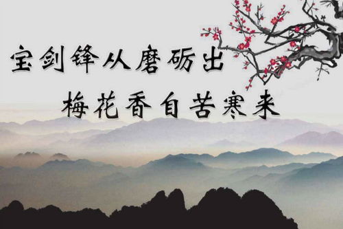 關于面對挫折的古詩句