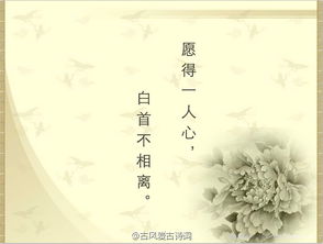 詩(shī)句,喜歡