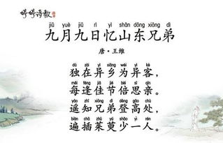 關(guān)于9月9日憶山東兄弟的詩(shī)句是什么