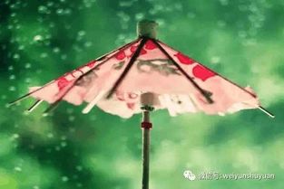 一首,詩句