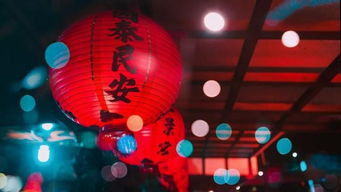 元宵節(jié)描寫海的詩(shī)句古詩(shī)詞