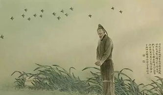 杜甫關于青春的詩句