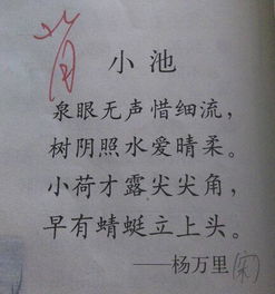 小學(xué)五級(jí)關(guān)于夏的詩句