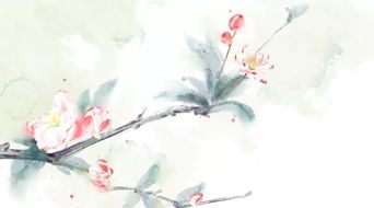關(guān)于植物的古詩和詩句