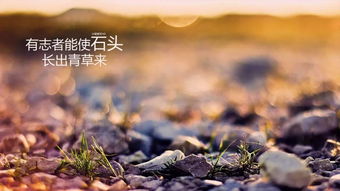 志高行遠(yuǎn)的勵(lì)志古詩(shī)句