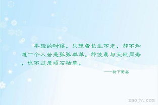 關(guān)于輕時(shí)光的詩句
