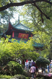 關(guān)于亭子的詩句大全